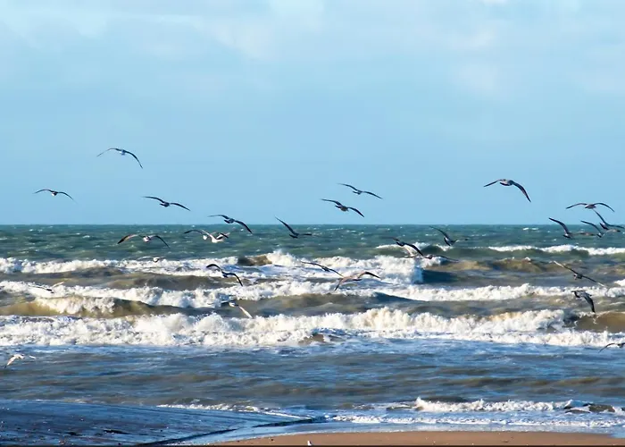 Appartamento Joli F3 - 50m De La Cabourg