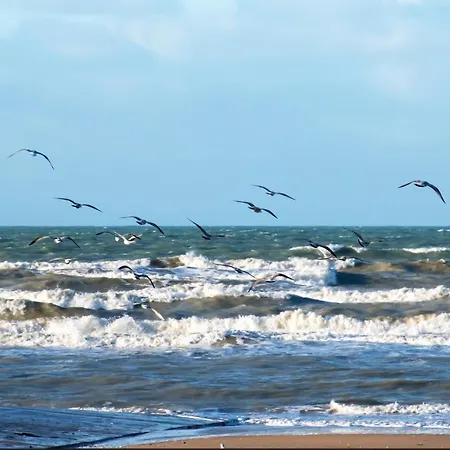 Διαμέρισμα Joli F3 - 50m De La Cabourg